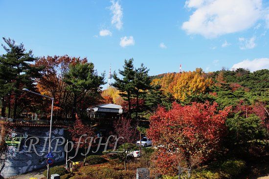 Botanischer Garten Namsan
